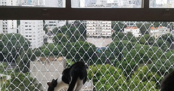 REDES DE PROTEÇÃO PARA GATOS E CÃES